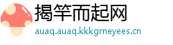 揭竿而起网